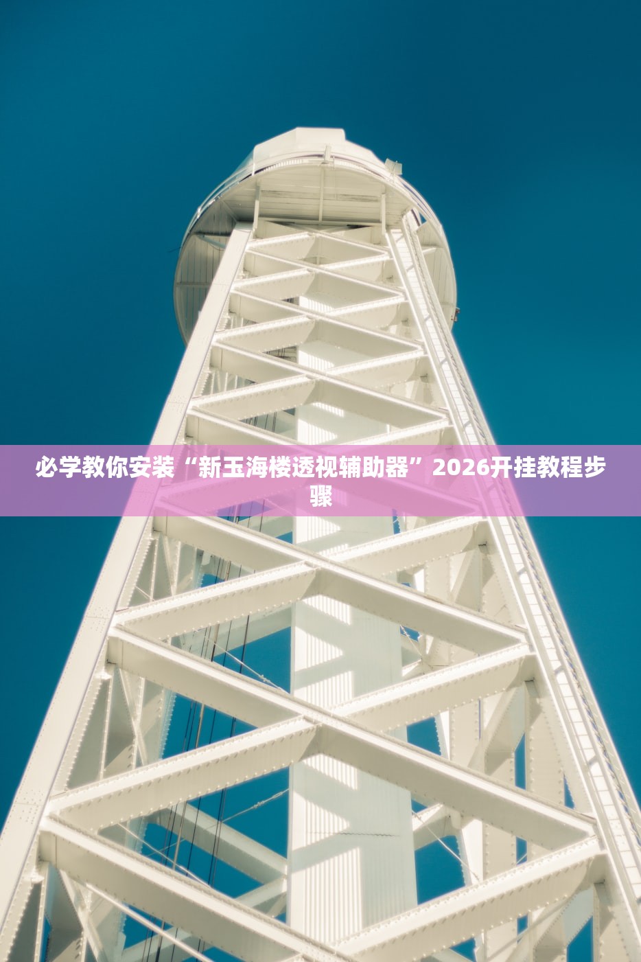 必学教你安装“新玉海楼透视辅助器”2026开挂教程步骤