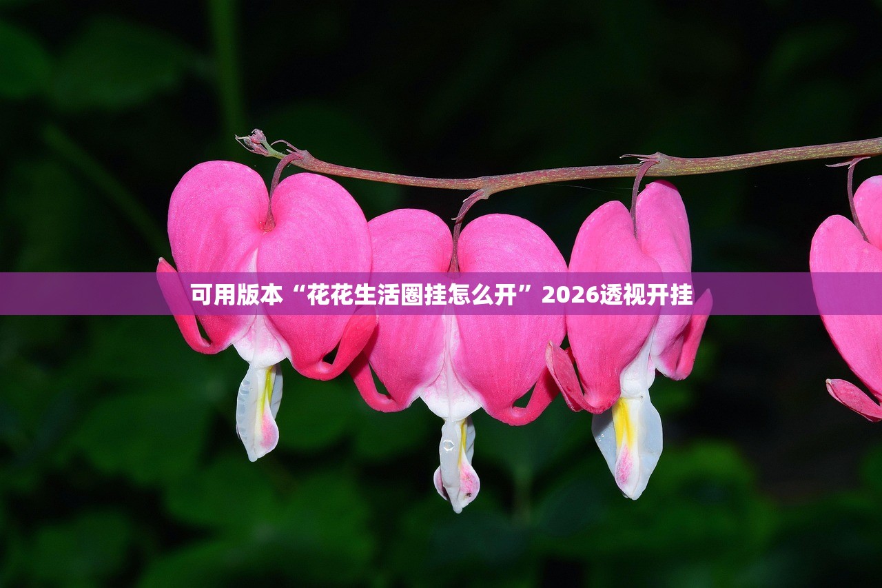 可用版本“花花生活圈挂怎么开”2026透视开挂