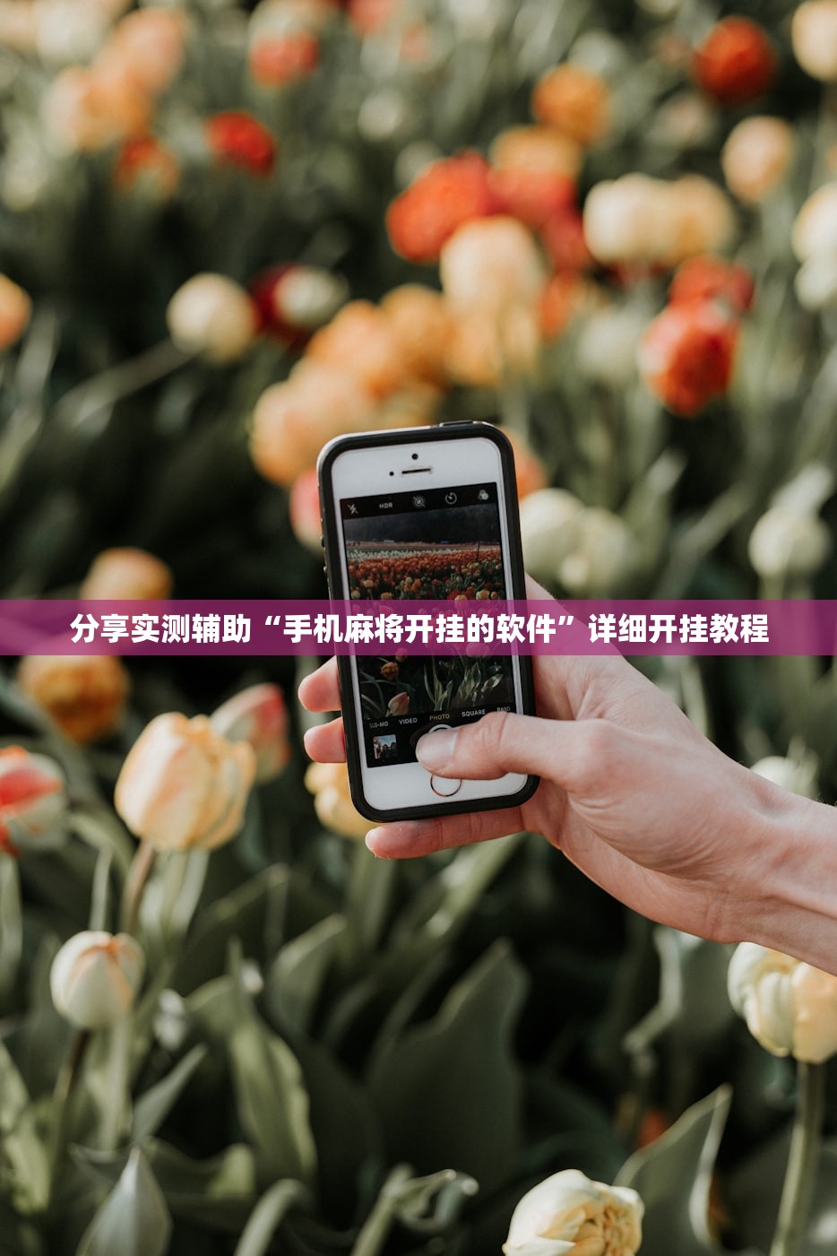 分享实测辅助“手机麻将开挂的软件”详细开挂教程