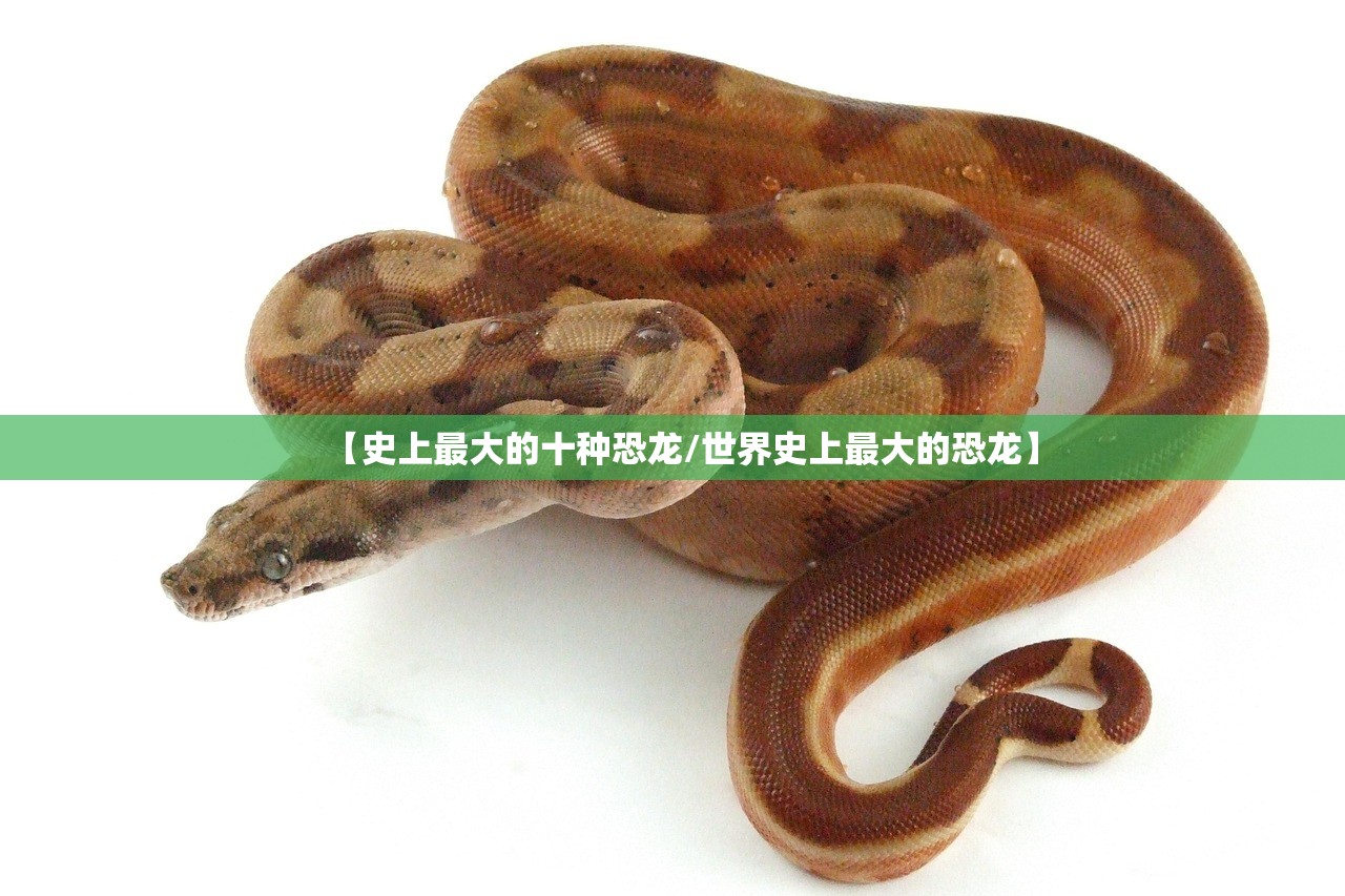 【喷涂机器人有多少种/喷涂机器人选型】