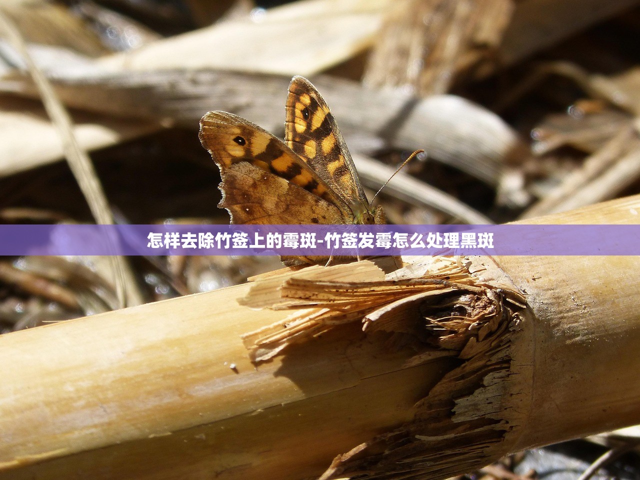 玩家必搜“掌酷十三张有没有挂	”2026开挂教程步骤