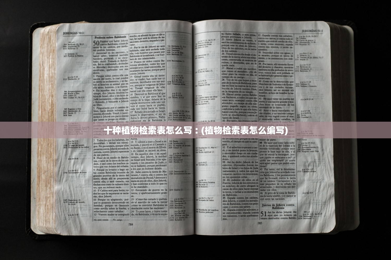 今日必看教程“南通快胡麻将有没有科技”2026透视开挂