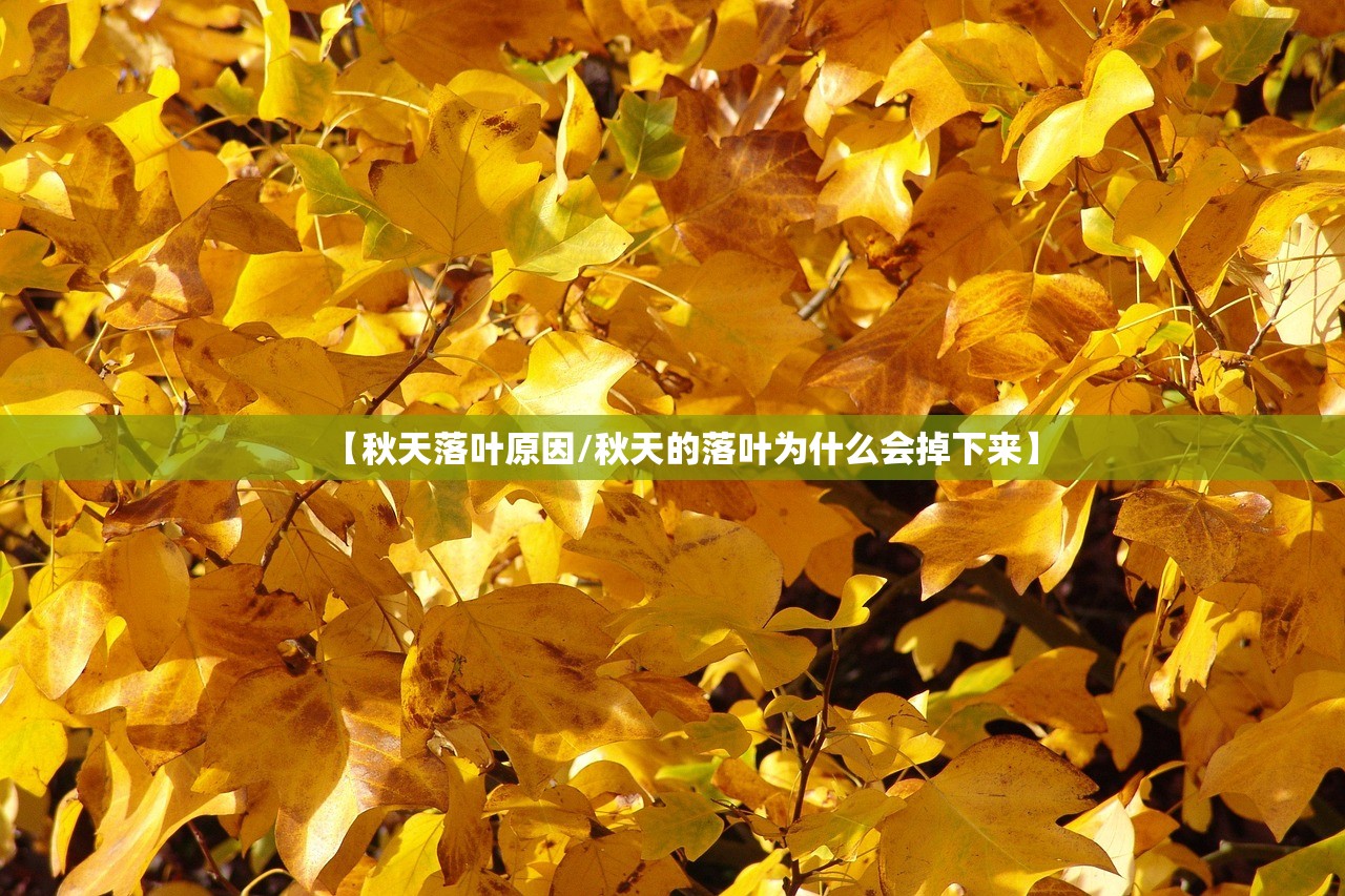 玩家必搜“欢乐游牛牛有没有人有挂	”2026新版本软件