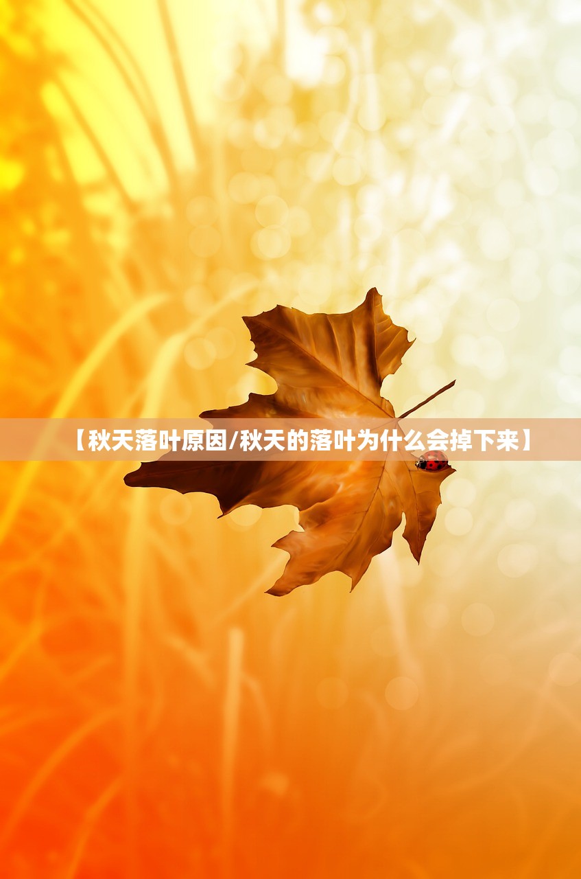 举行科普活动总结10篇-科普主题活动策划