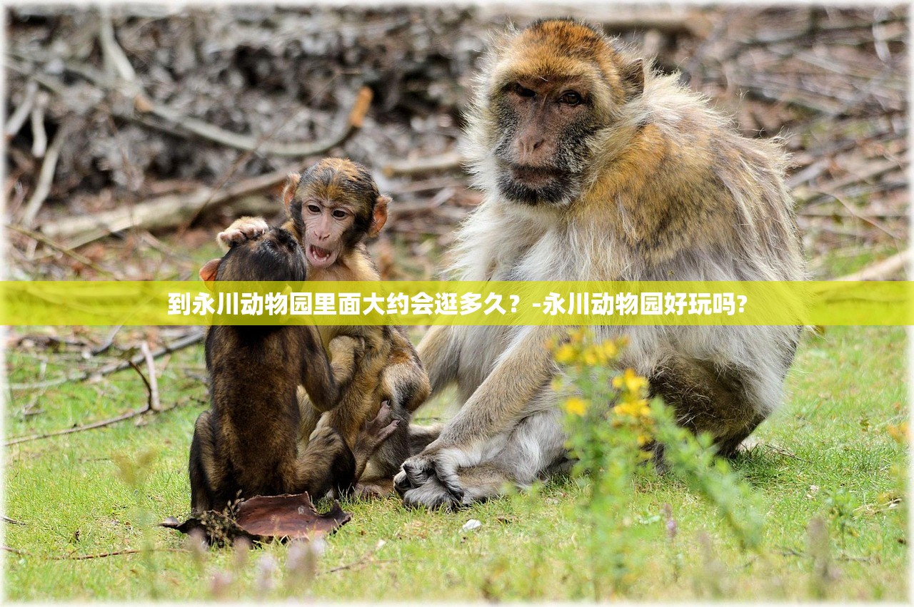 推荐一款“贵州微乐麻将开挂神器”揭秘透视辅助万能挂用法