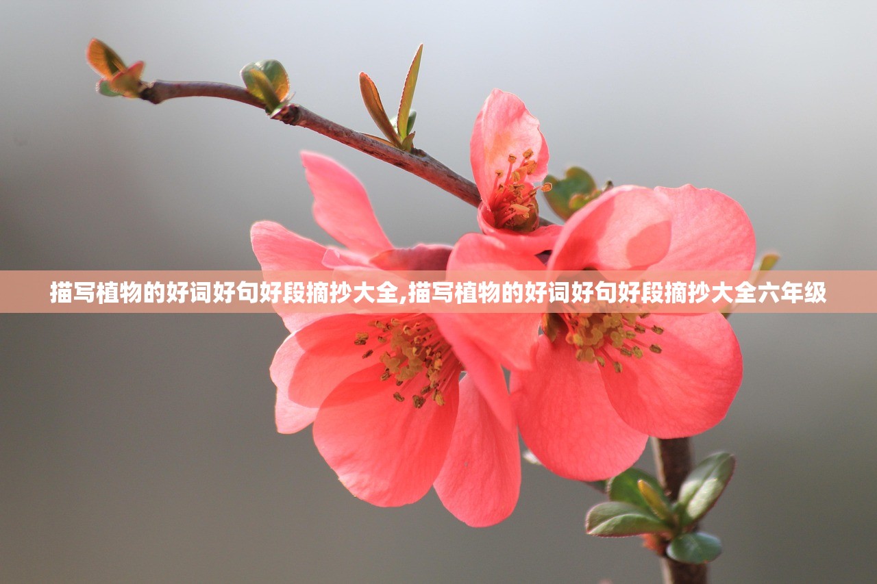 专家分析“微乐麻将小程序万能开挂器开挂神器下载安装	”其实确实有挂