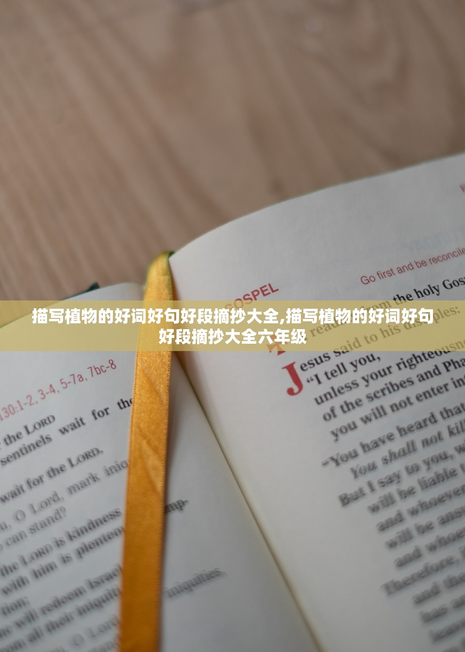 万能开挂辅助“哥哥打大A辅助神器	”真实开挂技巧分享