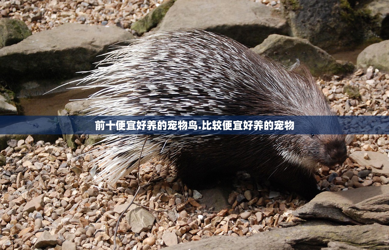 今日必看教程“南通快胡麻将有没有科技”2026透视开挂