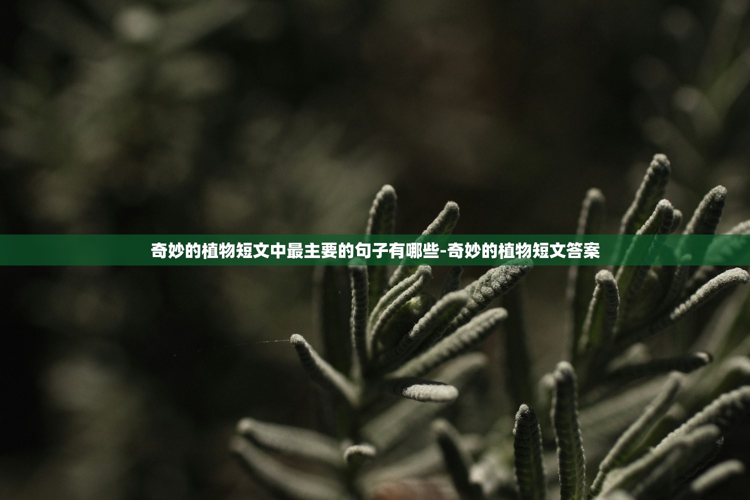 今日教程“雀神广东麻将小程序免费开挂器下载	”详细分享装挂步骤