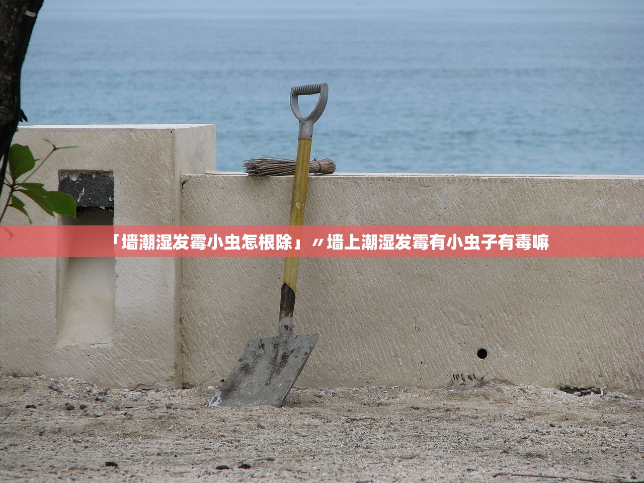 今日必看教程“雅苑湖北麻将是不是有挂”开挂(透视)辅助教程