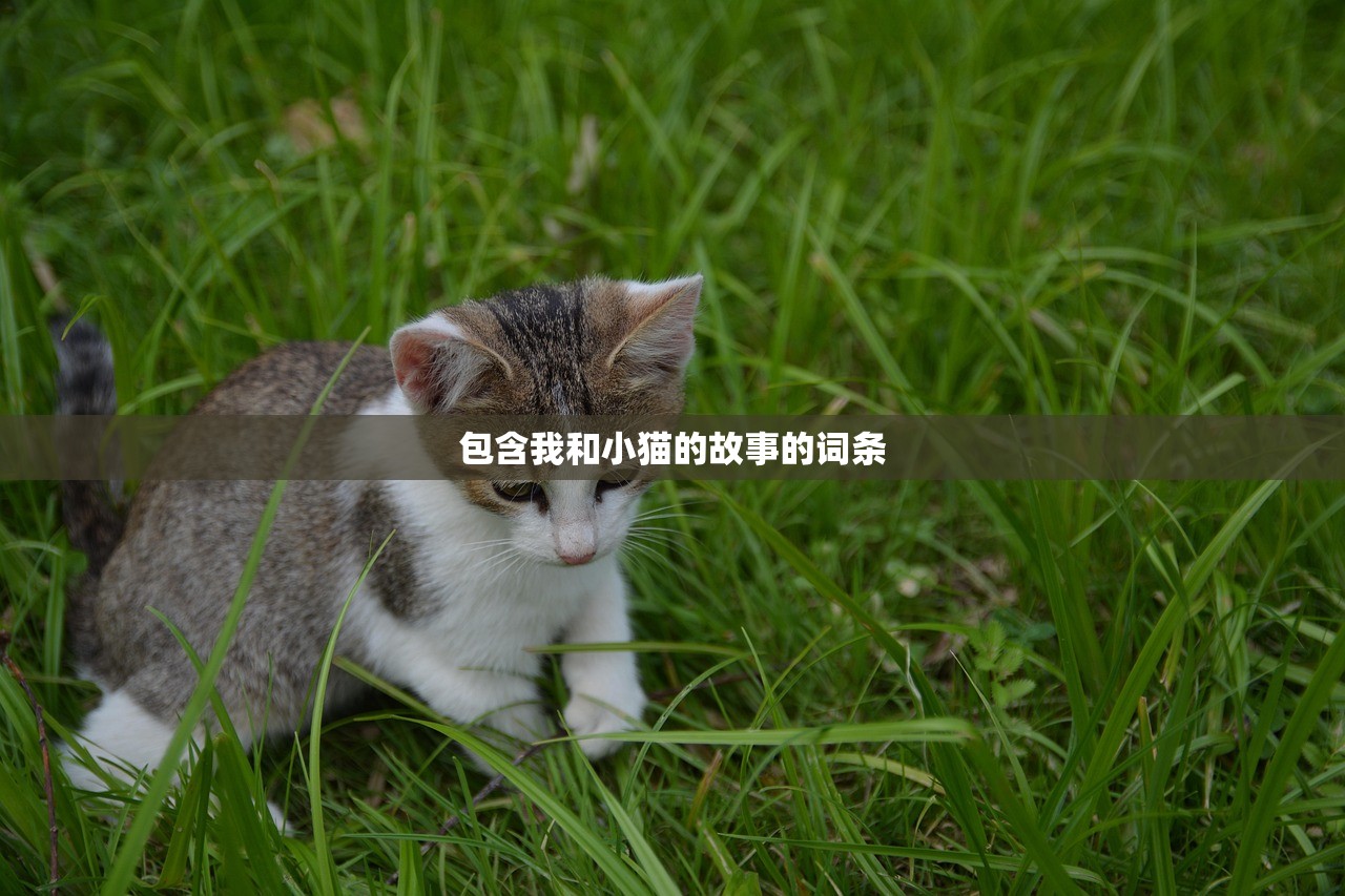 包含我和小猫的故事的词条 包含我和小猫的故事的词条