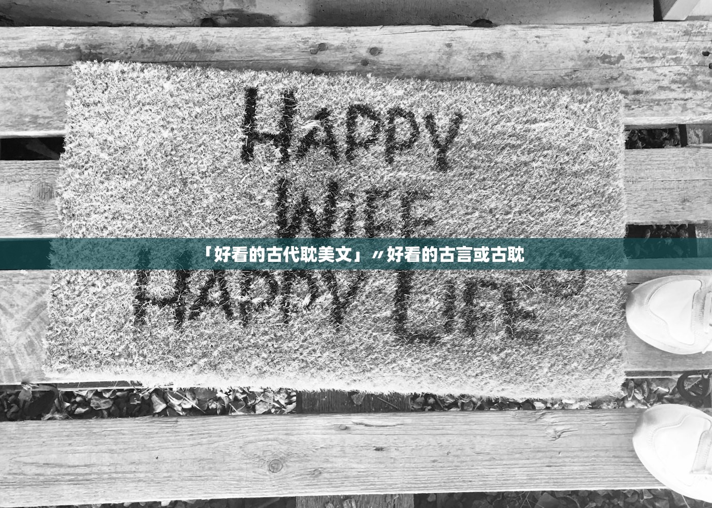 今日实测“炫龙牛牛到底有挂吗	”详细分享装挂步骤
