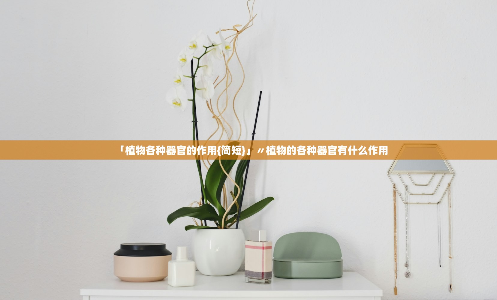 教程开挂辅助“先锋大厅辅助专用神器”揭秘透视辅助万能挂用法