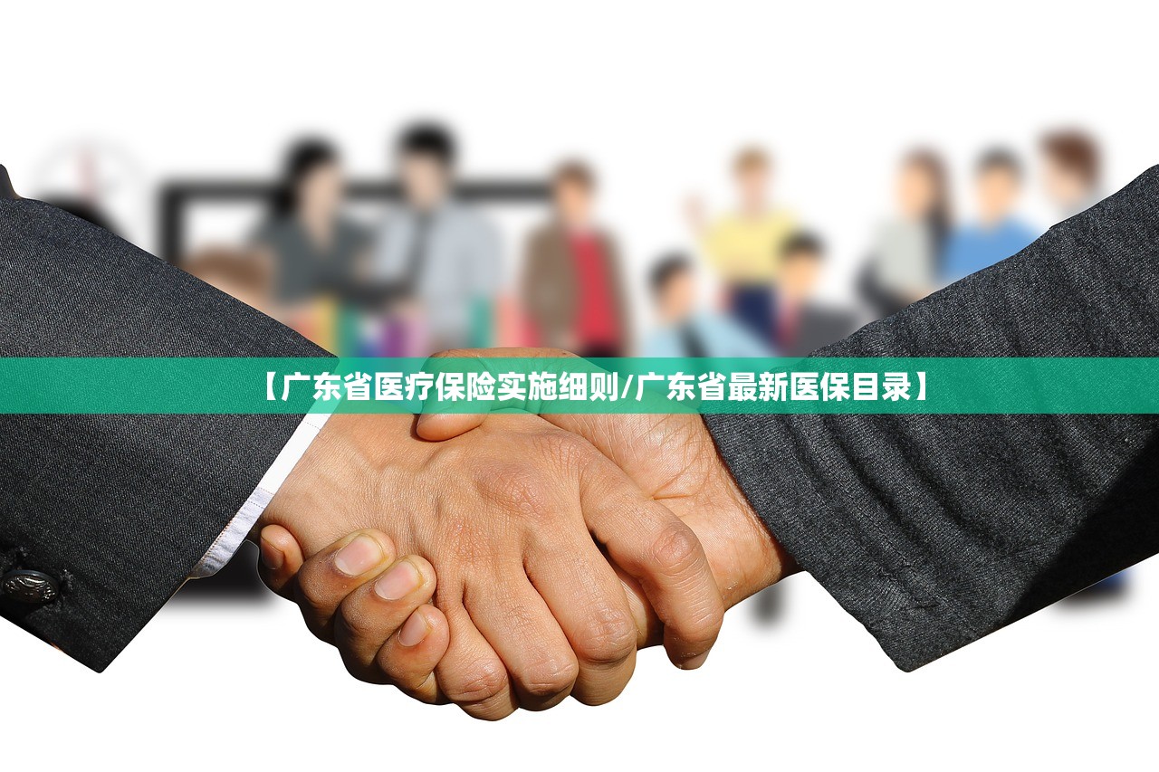 【广东省医疗保险实施细则/广东省最新医保目录】