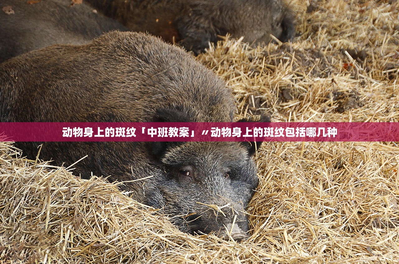 动物身上的斑纹「中班教案」〃动物身上的斑纹包括哪几种