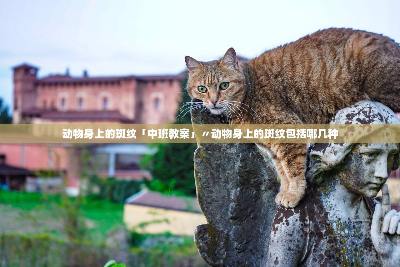 动物身上的斑纹「中班教案」〃动物身上的斑纹包括哪几种