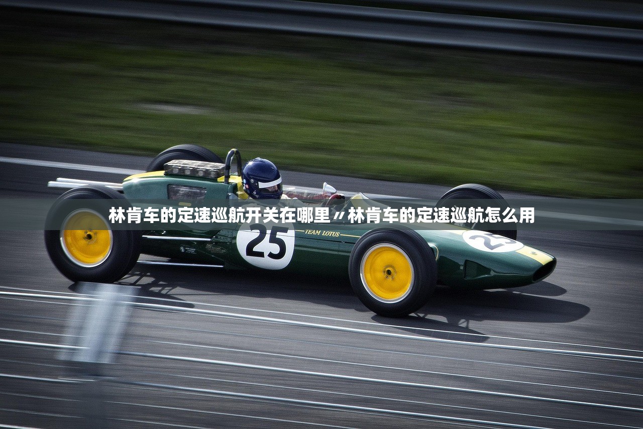 林肯车的定速巡航开关在哪里〃林肯车的定速巡航怎么用