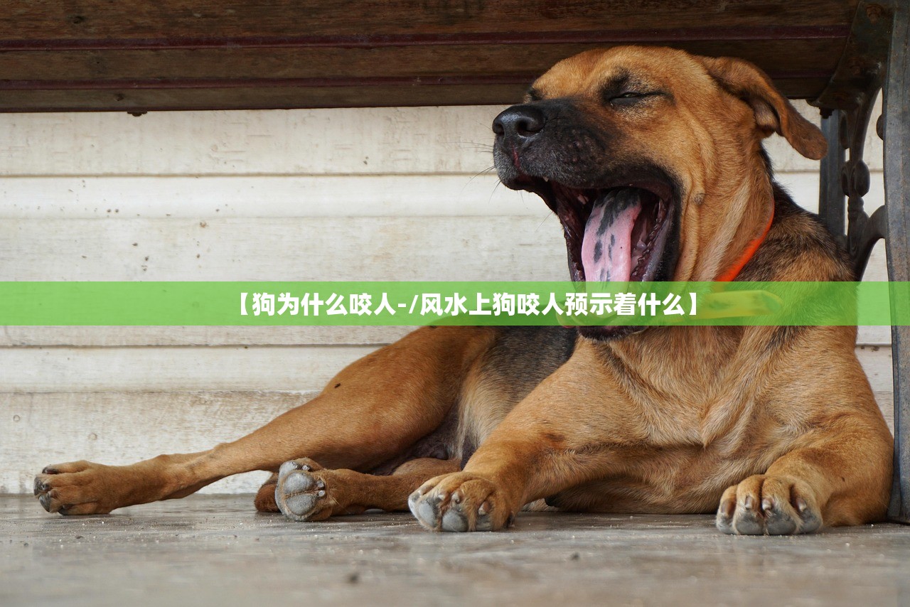 专家分析“微信微乐麻将小程序必赢神器免费安装	”2026开挂教程步骤