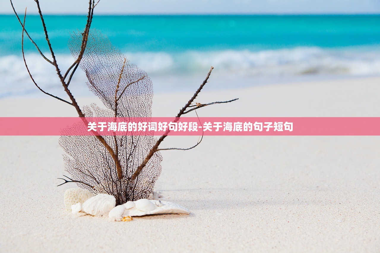 关于海底的好词好句好段-关于海底的句子短句