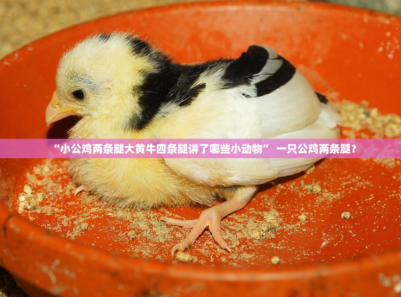 开挂辅助工具“嫦娥大厅能安装透视挂吗”开挂辅助详细步骤
