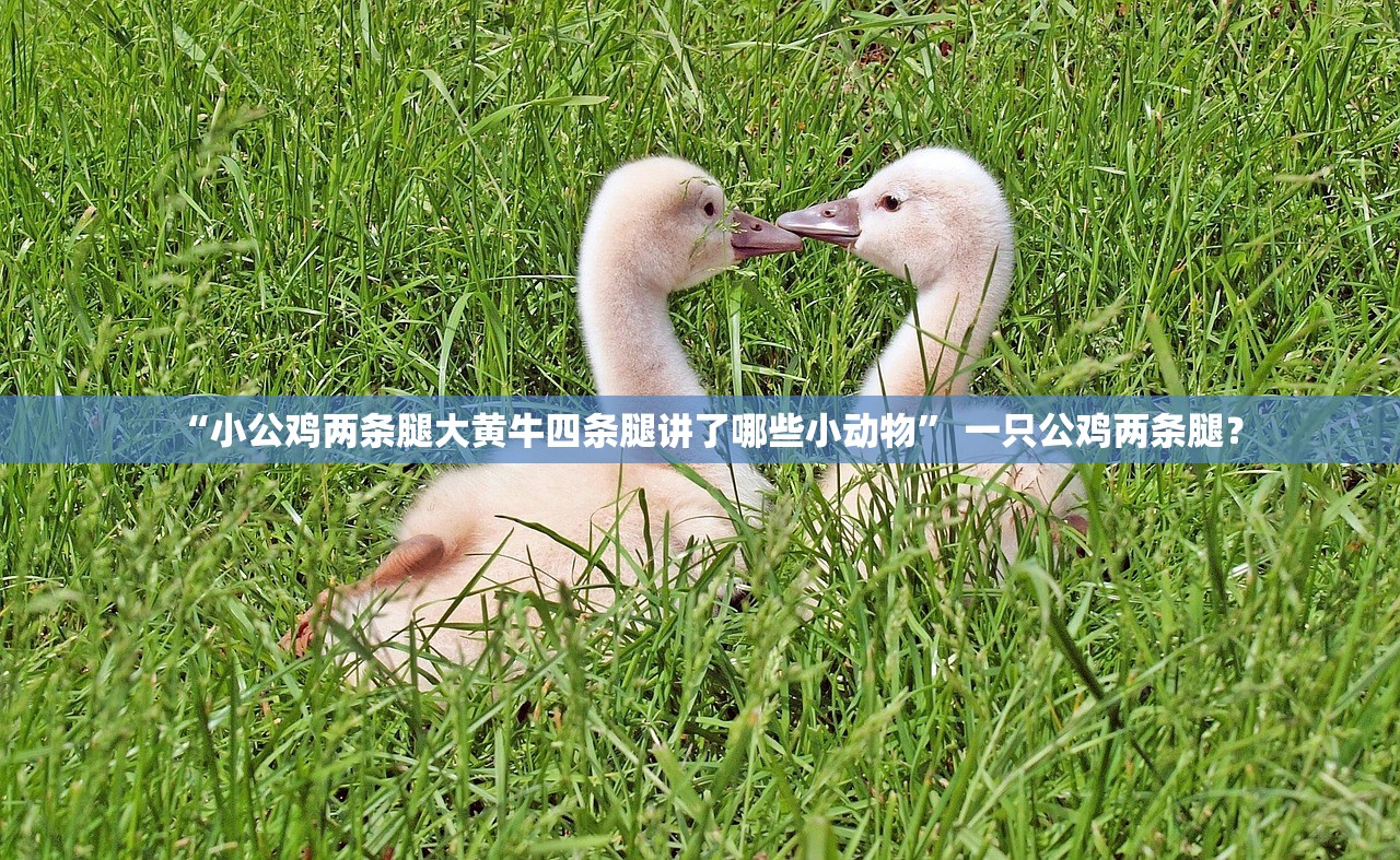 “小公鸡两条腿大黄牛四条腿讲了哪些小动物” 一只公鸡两条腿？