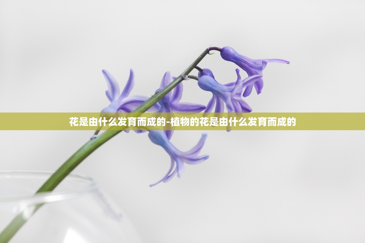 今日教程“掌心麻将圈外卦神器下载安装”其实确实有挂