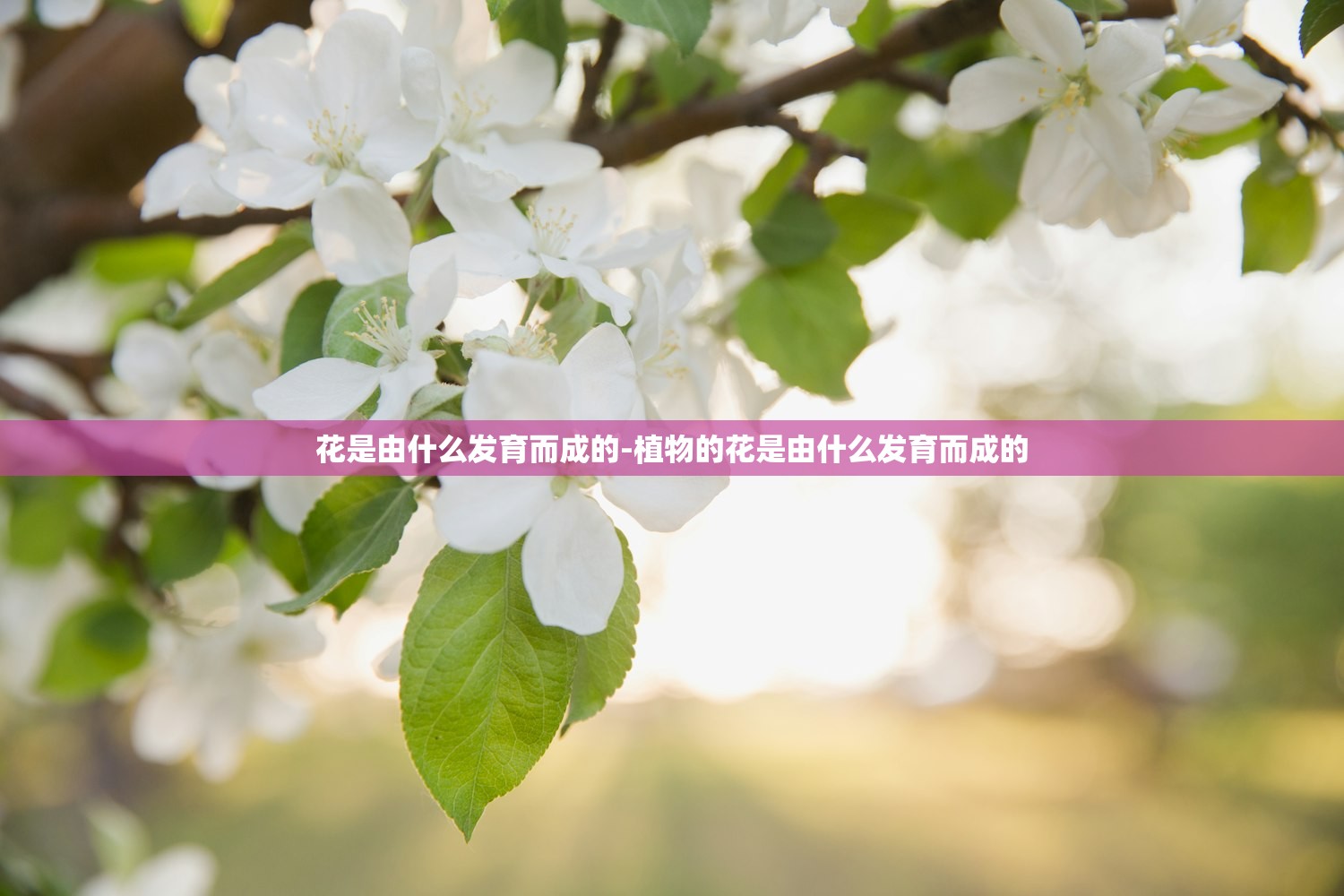 实测辅助“圣光大厅透视神器下载	”详细分享装挂步骤教程