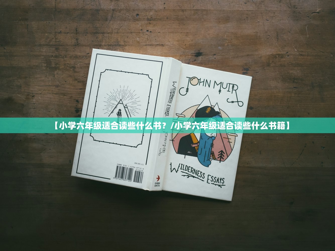 【小学六年级适合读些什么书？/小学六年级适合读些什么书籍】