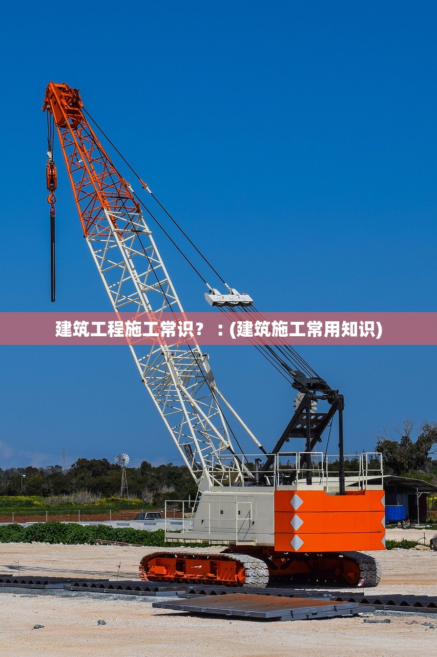 开挂辅助工具“微乐跑得快开挂下载安装微信	”(原来确实是有插件) 