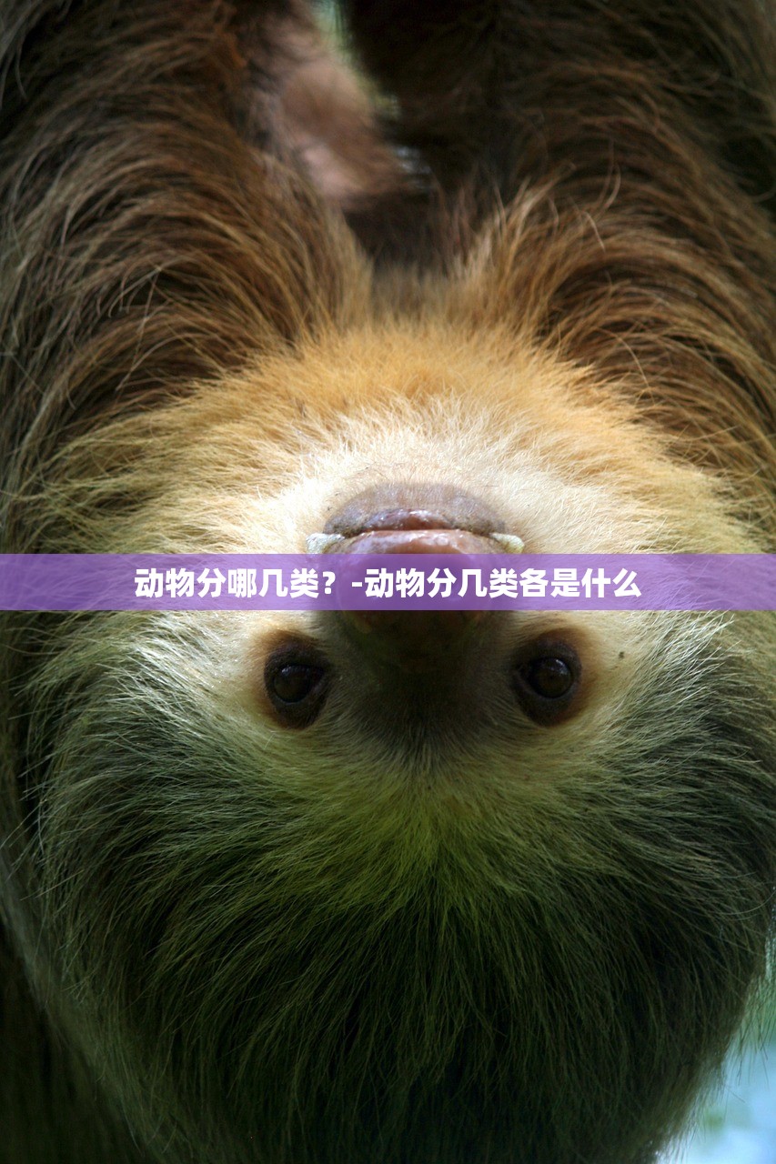 可用版本“微乐广东麻将必赢挂下载”附开挂脚本详细步骤
