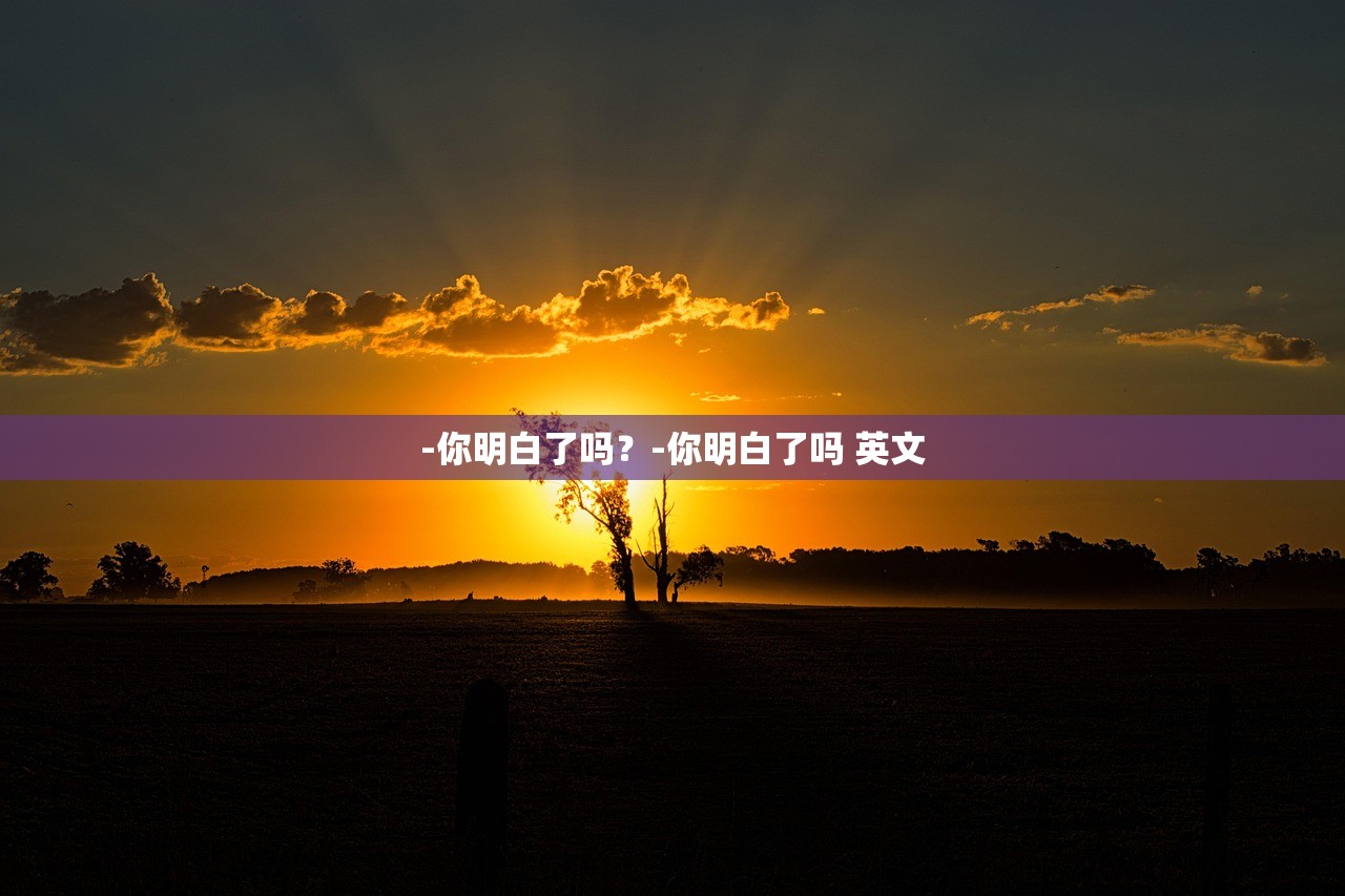 -你明白了吗？-你明白了吗 英文