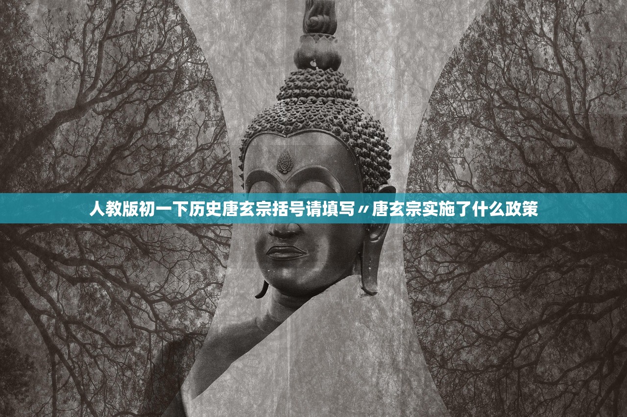 人教版初一下历史唐玄宗括号请填写〃唐玄宗实施了什么政策 人教版初一下历史唐玄宗括号请填写〃唐玄宗实施了什么政策