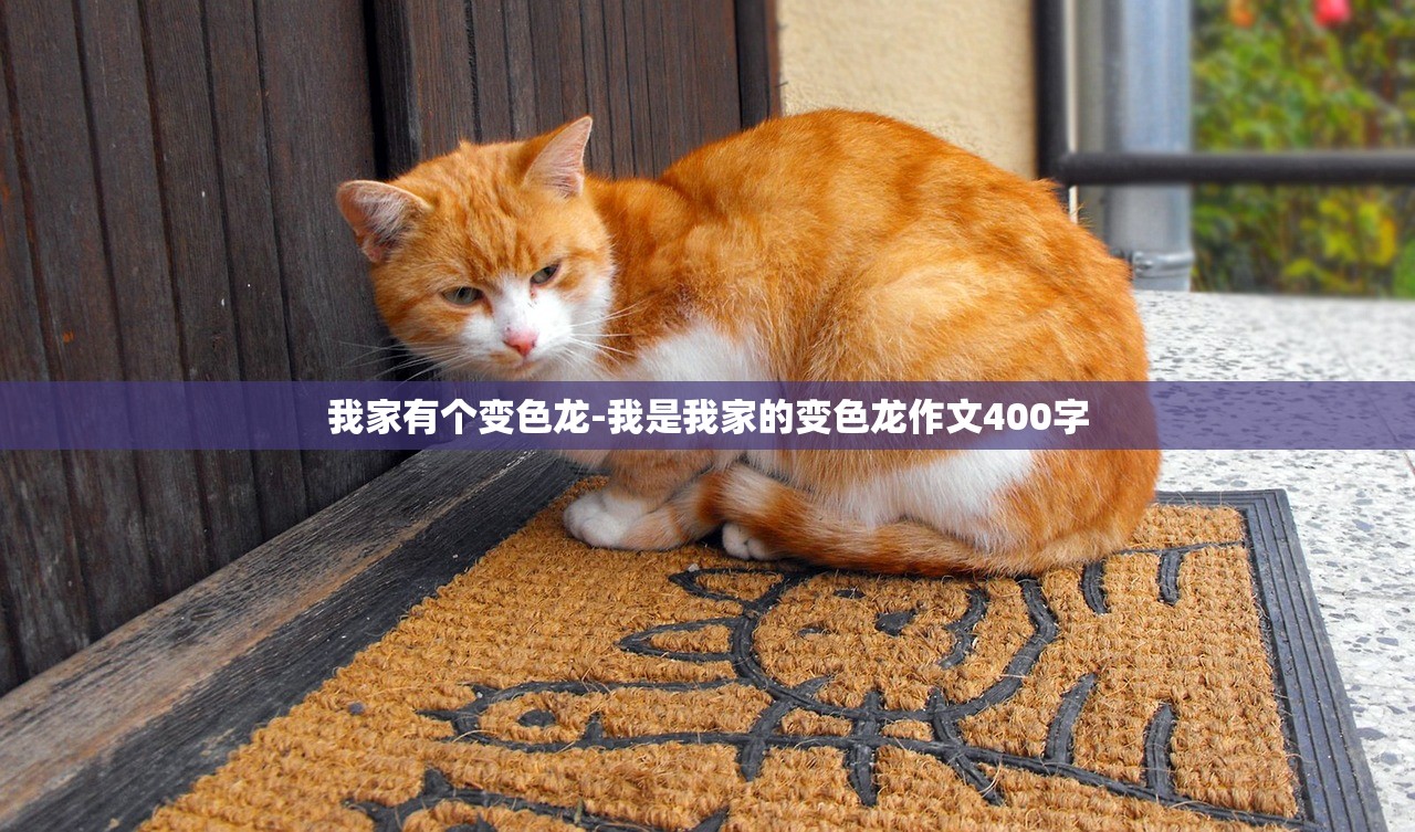 教程解析“黄帝大厅是不是有挂吗”揭秘透视辅助万能挂用法