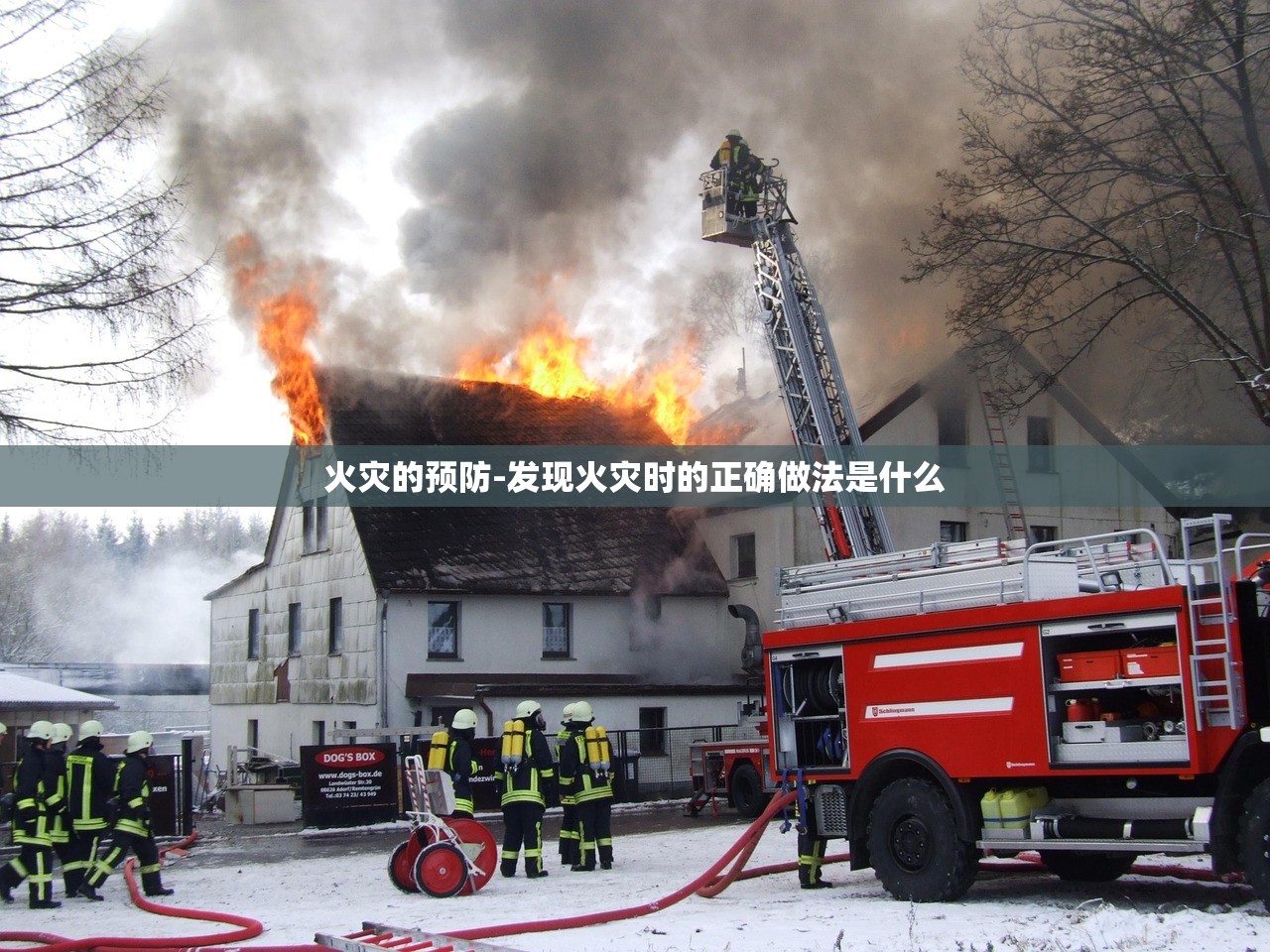 火灾的预防-发现火灾时的正确做法是什么 火灾的预防-发现火灾时的正确做法是什么
