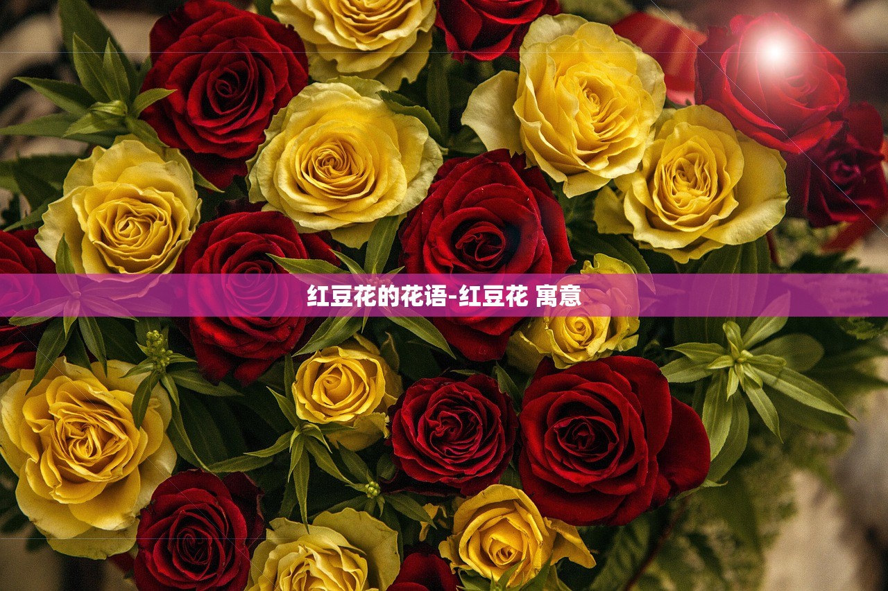 红豆花的花语-红豆花 寓意