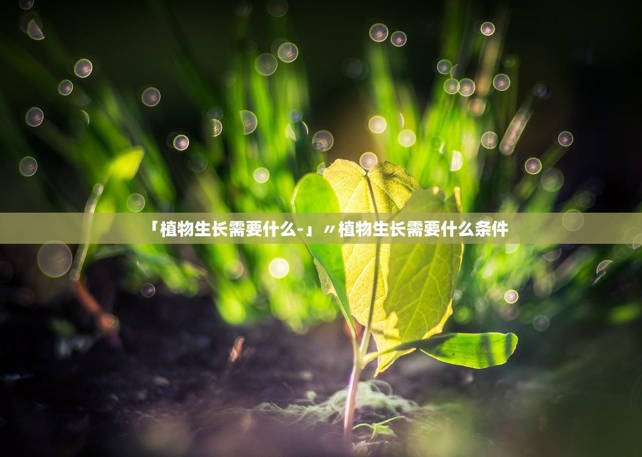 「植物生长需要什么-」〃植物生长需要什么条件