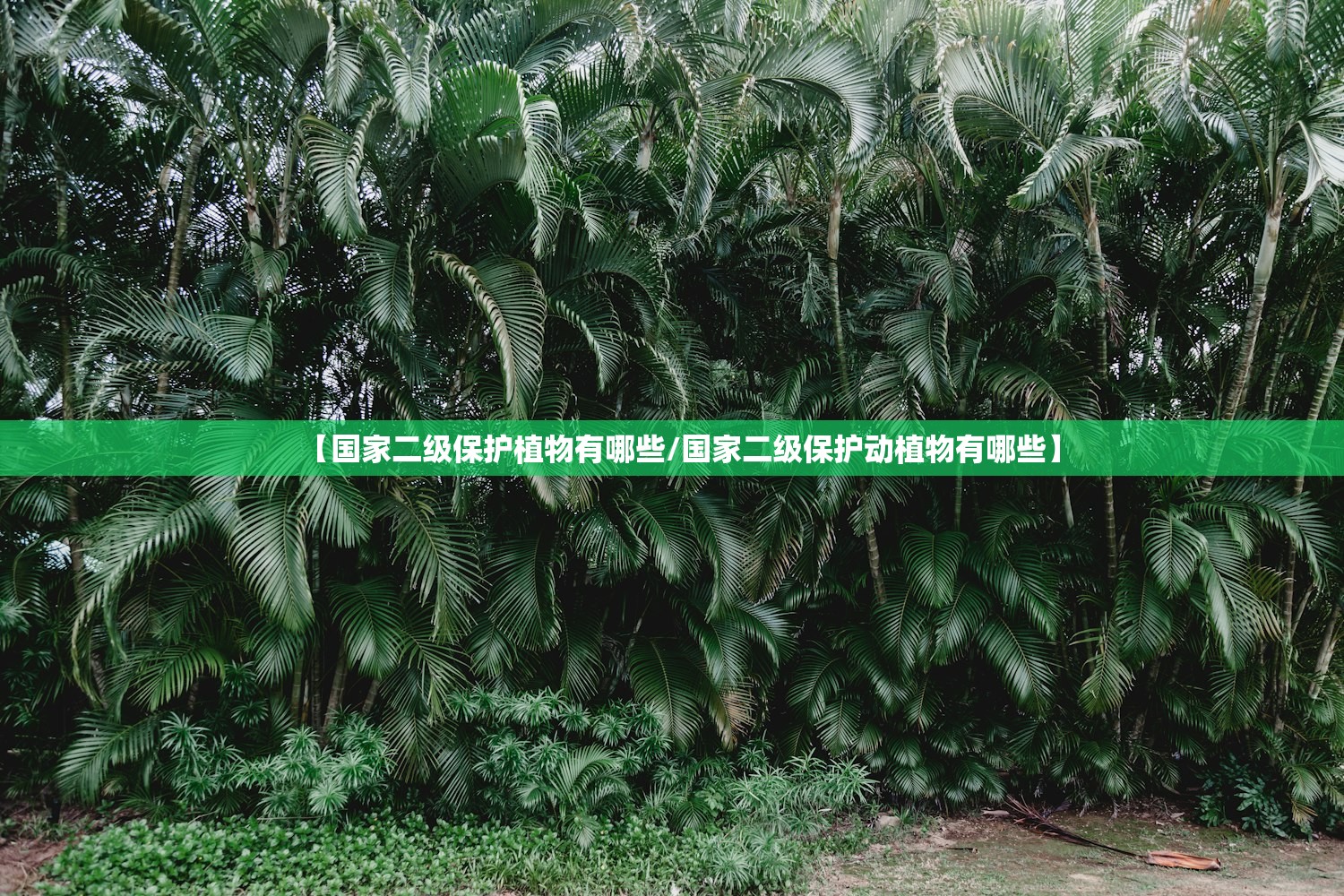 今日必看教程“哈灵浙江麻将有挂吗	”(原来确实是有插件) 