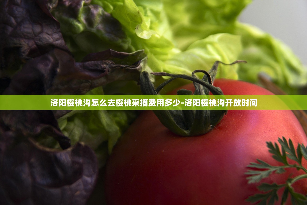 洛阳樱桃沟怎么去樱桃采摘费用多少-洛阳樱桃沟开放时间 洛阳樱桃沟怎么去樱桃采摘费用多少-洛阳樱桃沟开放时间