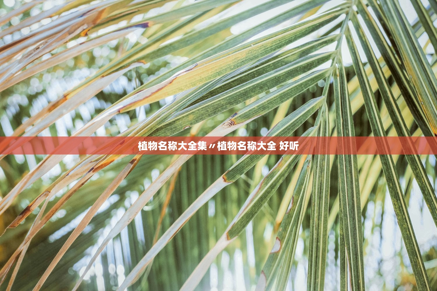 必备科技“新人皇竟然有挂	”附开挂脚本详细步骤