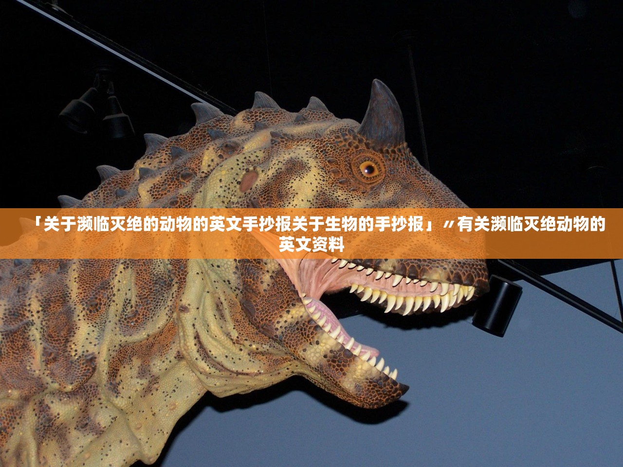 「关于濒临灭绝的动物的英文手抄报关于生物的手抄报」〃有关濒临灭绝动物的英文资料 「关于濒临灭绝的动物的英文手抄报关于生物的手抄报」〃有关濒临灭绝动物的英文资料