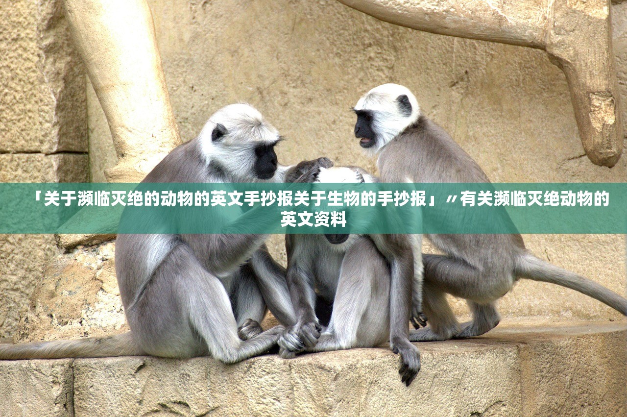 「关于濒临灭绝的动物的英文手抄报关于生物的手抄报」〃有关濒临灭绝动物的英文资料 「关于濒临灭绝的动物的英文手抄报关于生物的手抄报」〃有关濒临灭绝动物的英文资料