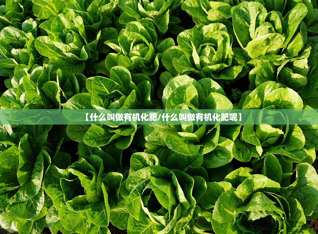 【什么叫做有机化肥/什么叫做有机化肥呢】