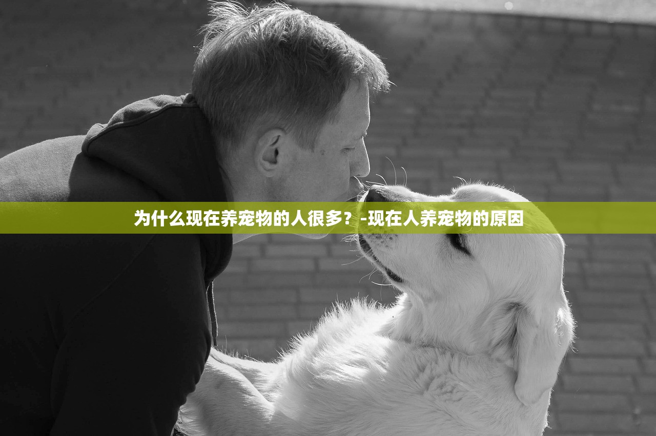 为什么现在养宠物的人很多？-现在人养宠物的原因