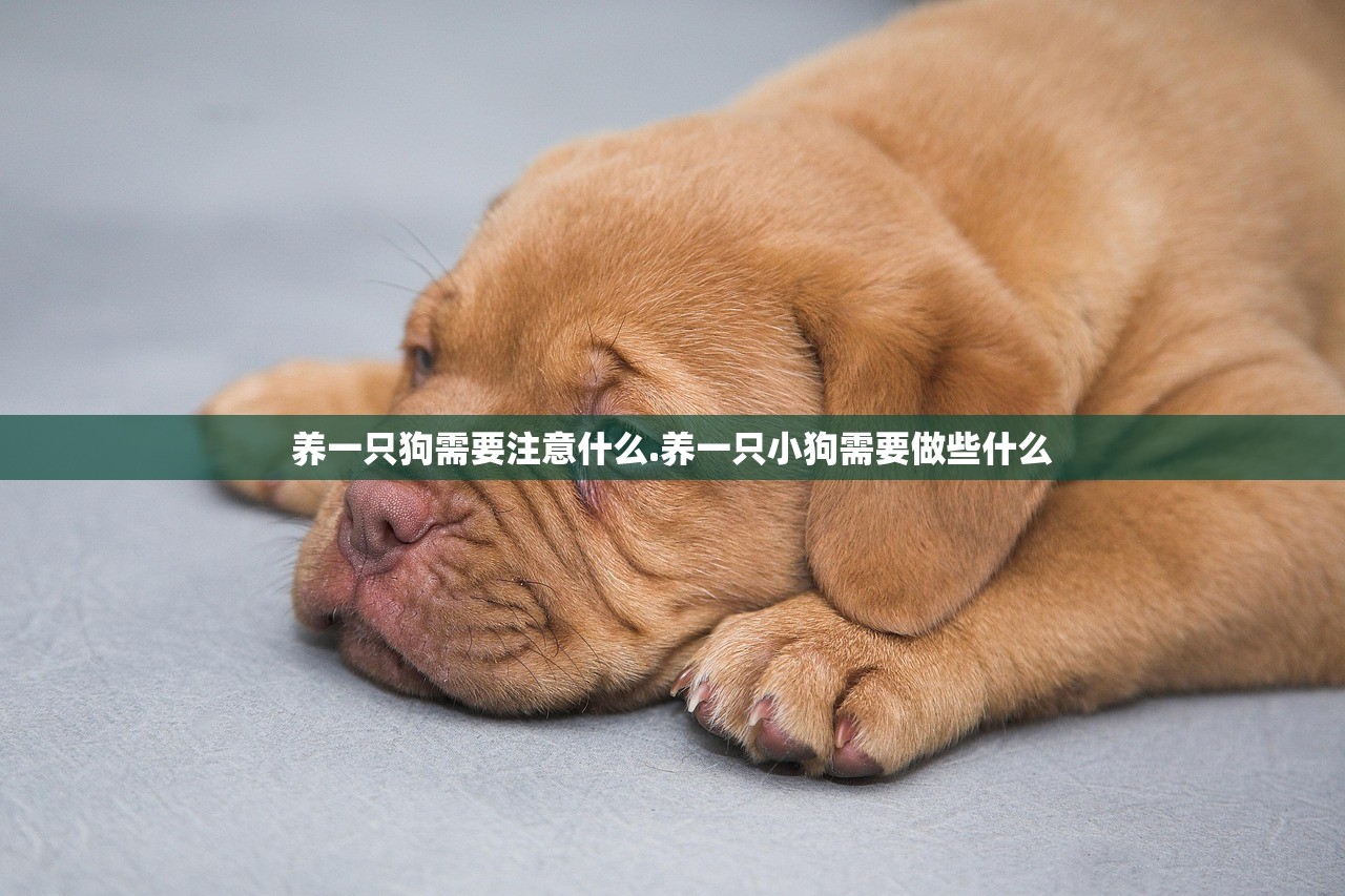 科普实测“微乐麻将开挂教程和存在必赢神器”开挂辅助详细步骤