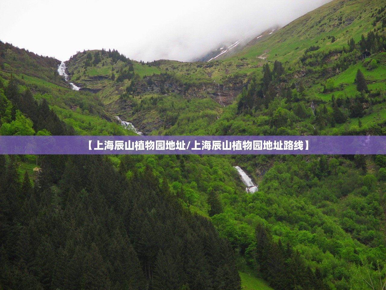 可用版本“蜀友汇究竟有挂吗”2026开挂教程步骤