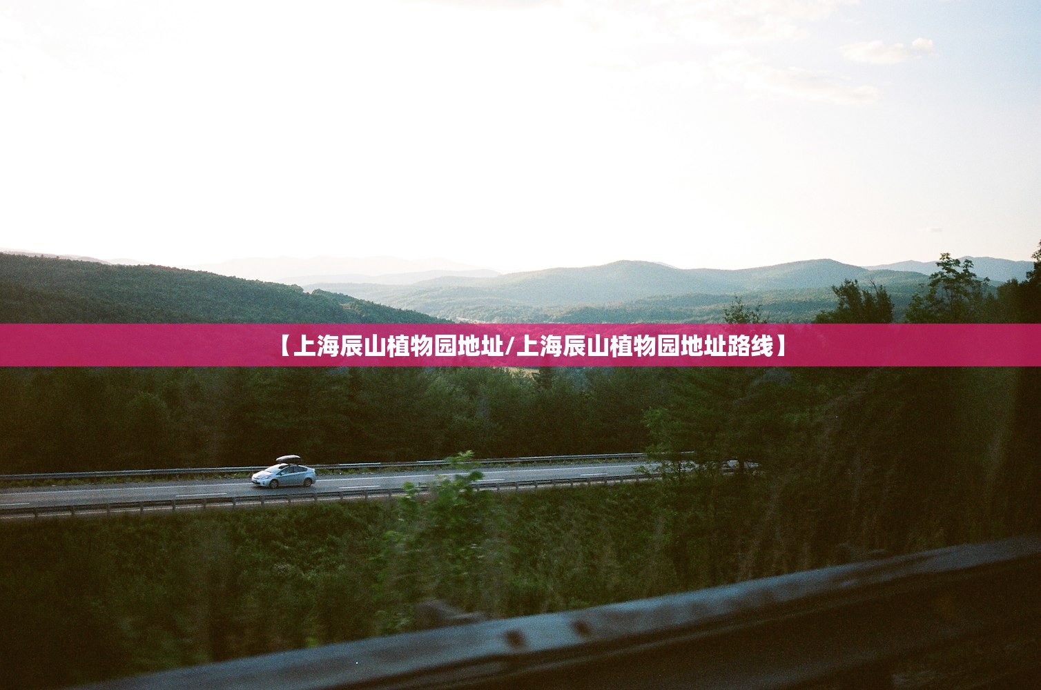 【上海辰山植物园地址/上海辰山植物园地址路线】