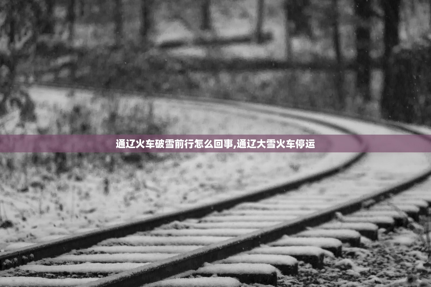 软件分享“趣味板子炮有没有透视”揭秘透视辅助万能挂用法