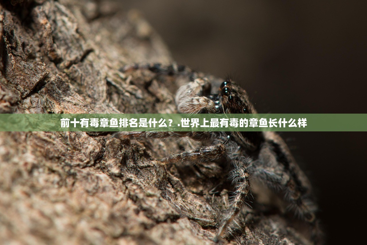 软件分享“秋水佳人到底可以开挂吗”开挂辅助详细步骤