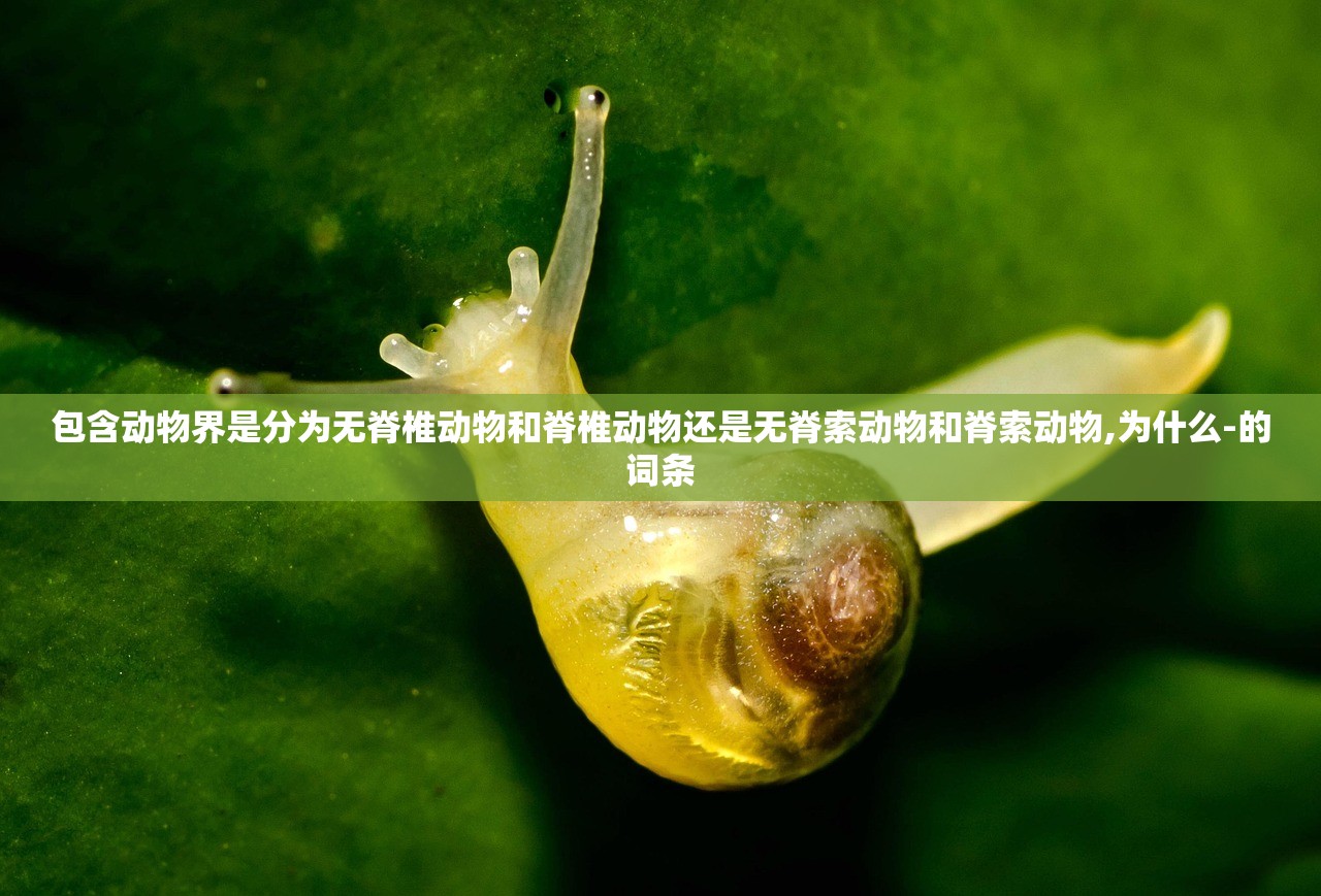 包含动物界是分为无脊椎动物和脊椎动物还是无脊索动物和脊索动物,为什么-的词条