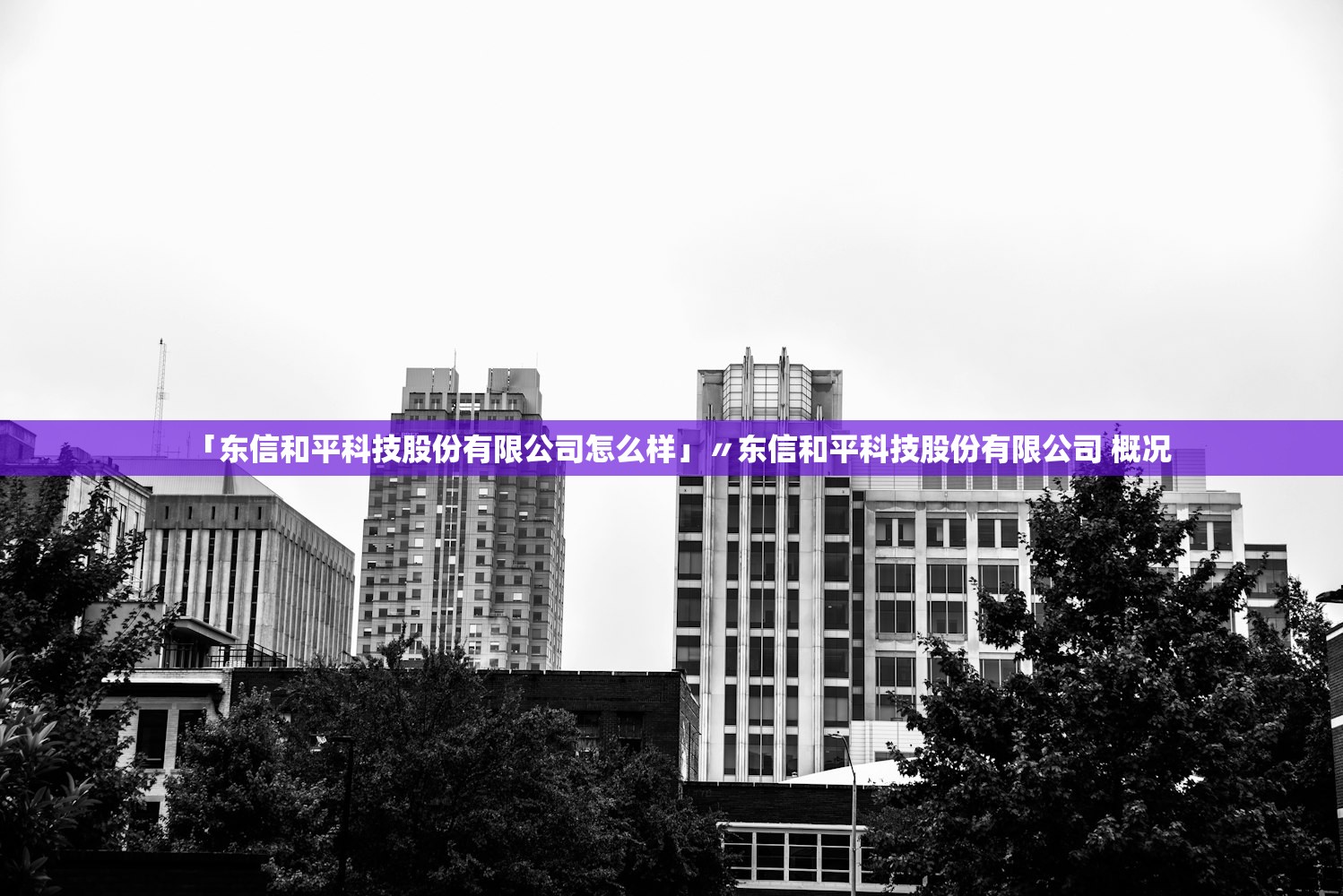 「东信和平科技股份有限公司怎么样」〃东信和平科技股份有限公司 概况